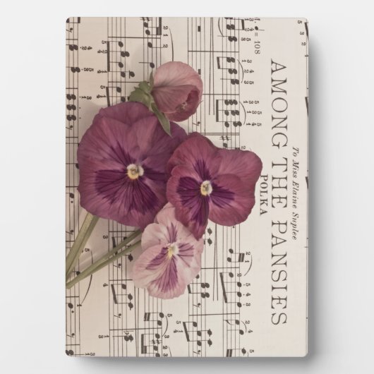 Onder de Pansies Fotoplaat (voorkant)