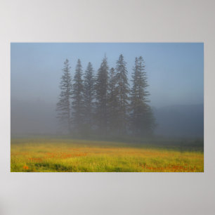 Onder de smog poster