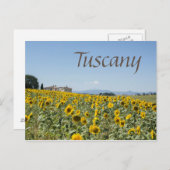 Onder de Toscaanse zon Briefkaart (Voorkant / Achterkant)
