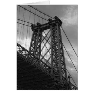 Onder de Williamsburg Bridge-New York City