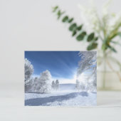 Onder de Winterzon Briefkaart (Staand voorkant)