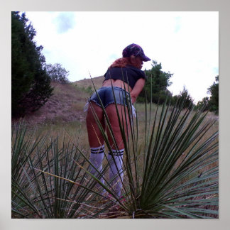 Onder de Yucca-Planten Poster