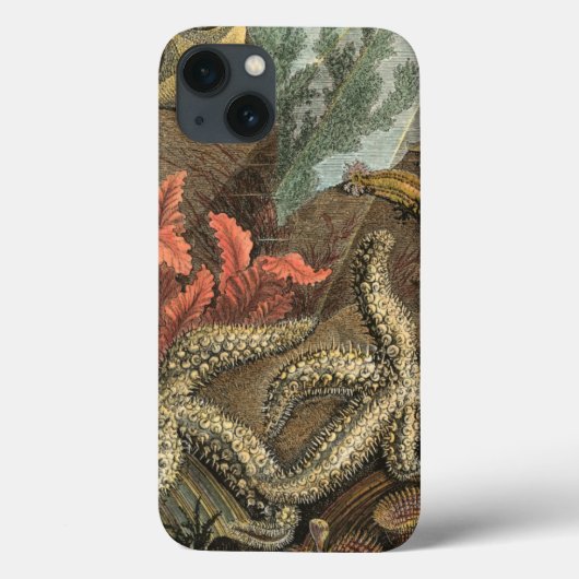 Onder de Zee Case-Mate iPhone Case (Achterkant)