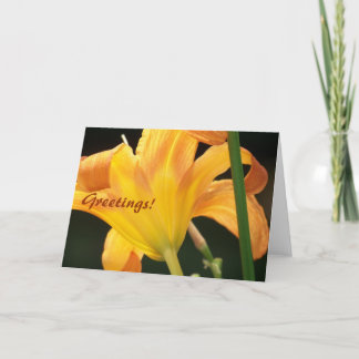 Onder de zon, Greetings. Kaart