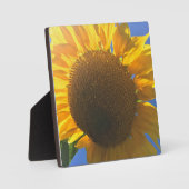 Onder een zonnebloem fotoplaat (Voorkant)