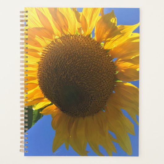 Onder een zonnebloem planner (Voorkant)
