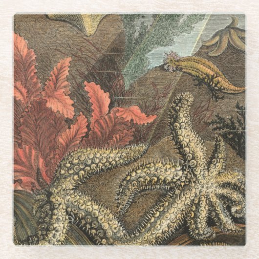 Onder het Zee Glazen Onderzetter (Voorkant)