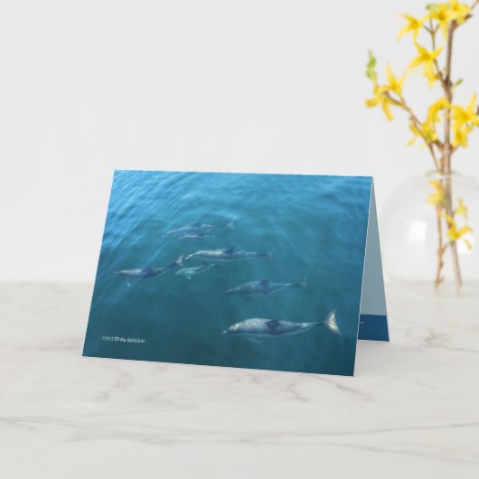 Onder het Zee Kaart (Gele Bloem)