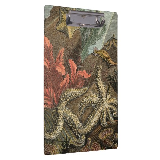 Onder het Zee Klembord (Rechts)