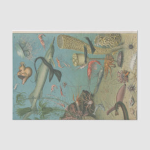 Onder het zee mariene biologie ambachtslieden' tissuepapier