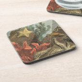 Onder het Zee Onderzetter (Linkerzijde)