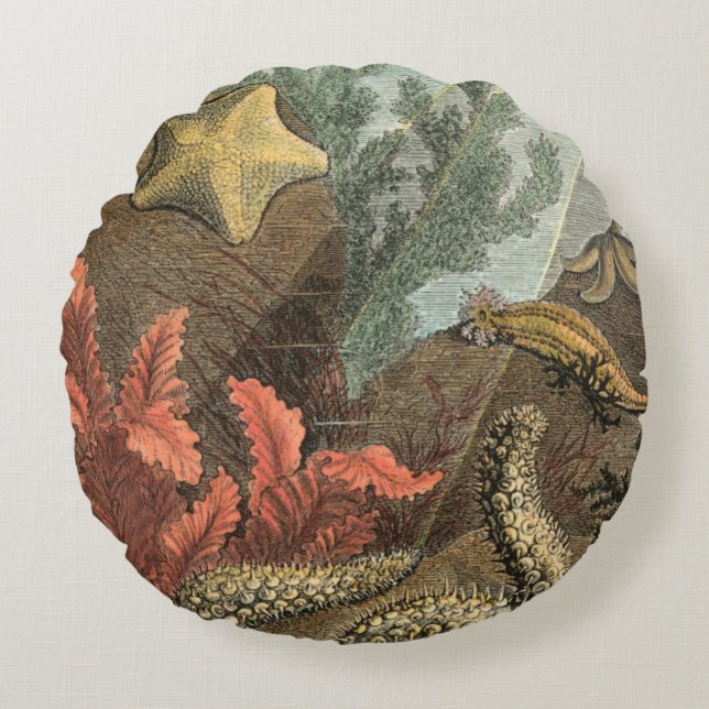 Onder het Zee Rond Kussen (Voorkant)