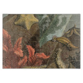 Onder het Zee Snijplank (Voorkant)