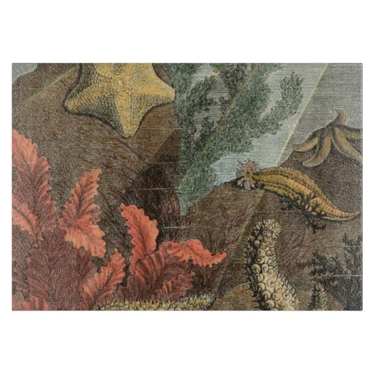 Onder het Zee Snijplank (Voorkant)