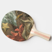 Onder het Zee Tafeltennisbatje (Zijkant)