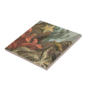 Onder het Zee Tegeltje (Zijkant)