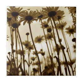 Onder madeliefjes tegeltje