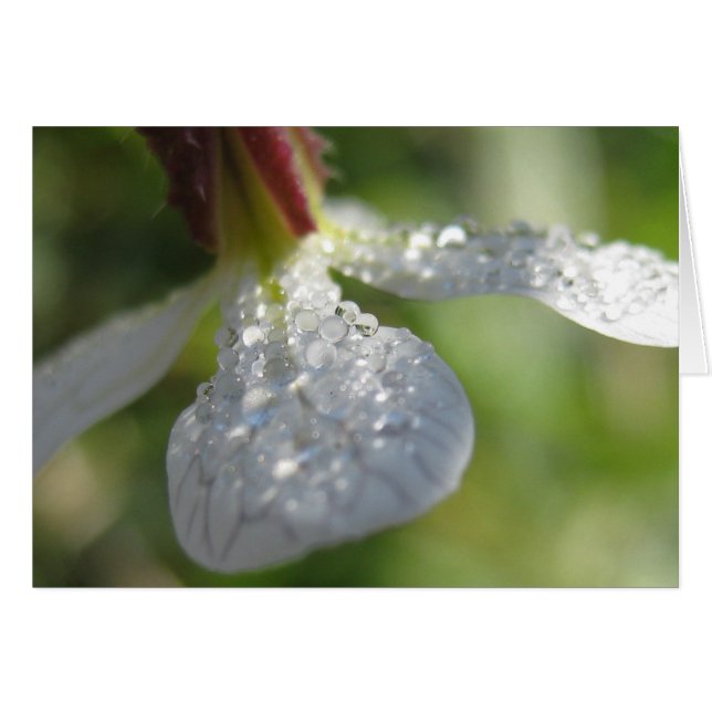 Onder Mijn kaart (Voorkant Horizontaal)