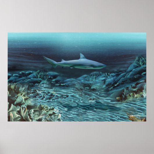 Onder water 1 poster (Voorkant)