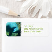 Onder Water Manatee Mailing Labels (Insitu)