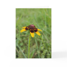 Onder Wildflowers Notecards (Spatie binnen)