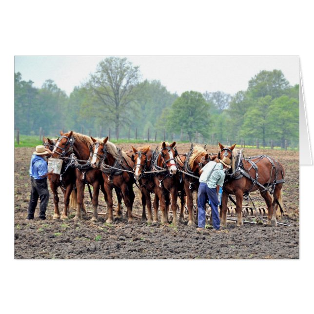 Onderbreking (Voorkant Horizontaal)