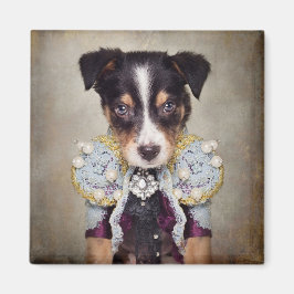 Onderdak Huisdieren Project - Loki Magneet