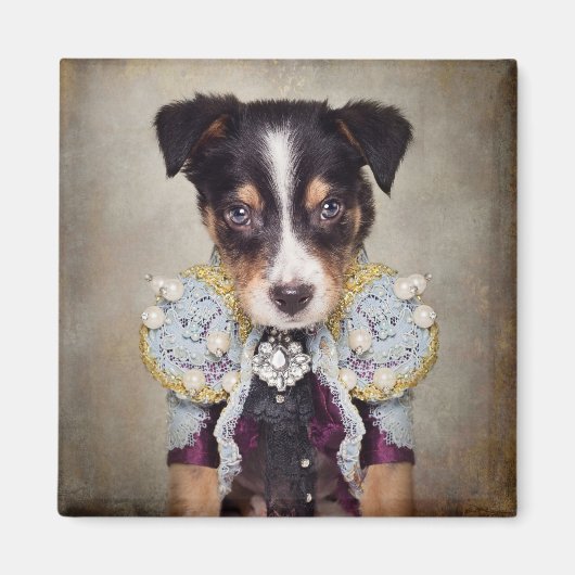 Onderdak Huisdieren Project - Loki Magneet (Voorkant)