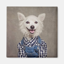 Onderdak Huisdieren Project - Tonka Magneet