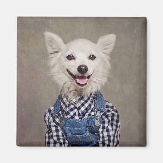 Onderdak Huisdieren Project - Tonka Magneet (Voorkant)