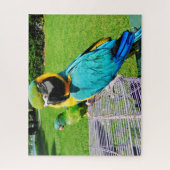 ONDERDELEN LEGPUZZEL (Verticaal)