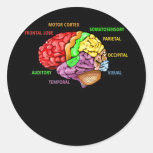Onderdelen van het kleurrijke diagram van de anato ronde sticker