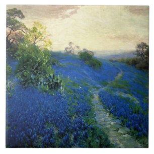 Onderdonk - Blauw Veld Tegeltje