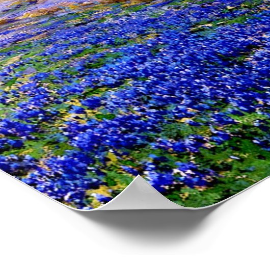 Onderdonk - Bluebonnets bij Twilight Poster (Hoek)