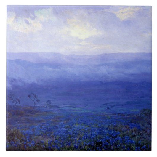 Onderdonk - Bluebonnets in Texas Tegeltje (Voorkant)