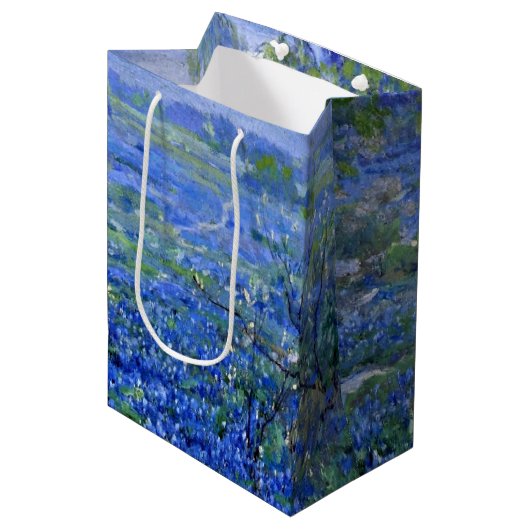 Onderdonk - Cloudy Day, Bluebonnets San Antonio Medium Cadeauzakje (Voorkant Gekanteld)