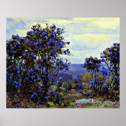 Onderdonk - Mountain Laurel in Bloom Poster (Voorkant)