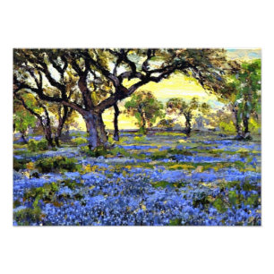 Onderdonk - Oude levende eikenboom en blauwvintoni Foto Afdruk