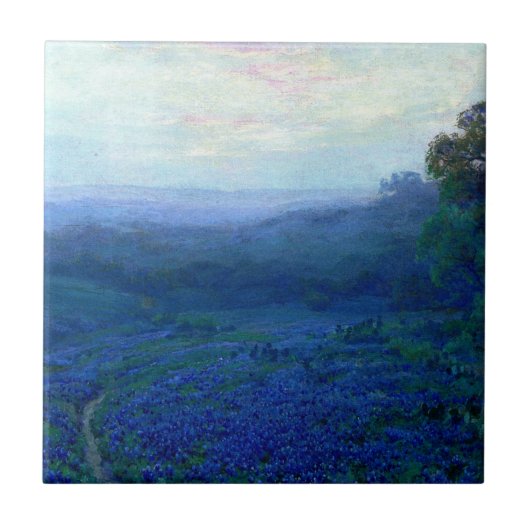 Onderdonk - Pad door een veld van bluebonnets Tegeltje (Voorkant)
