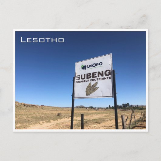 ondereng dinosaur voetafdrukken briefkaart (Voorkant)