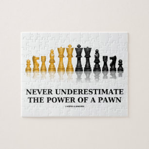 Onderschat nooit de kracht van een schaap legpuzzel