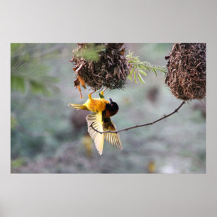 Ondersteboven Poster