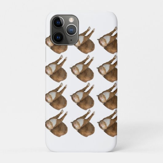 Ondersteboven Zonneschijn Kat Case-Mate iPhone Case (Achterkant)
