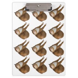 Ondersteboven Zonneschijn Kat Klembord