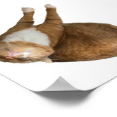 Ondersteboven Zonneschijn Poster (Hoek)