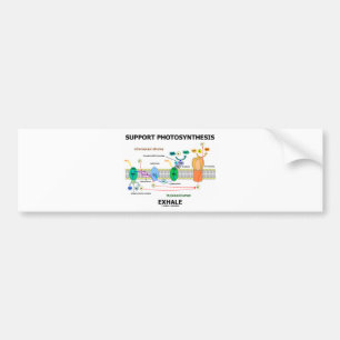 Ondersteuning van fotosynthese Exhale (Biochemie H Bumpersticker