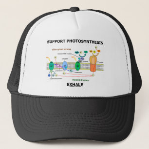 Ondersteuning van fotosynthese Exhale (Biochemie H Trucker Pet