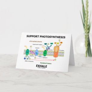 Ondersteuning van fotosynthese-uitademing (biochem kaart