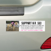 Ondersteuning voor H.R. 503 - Preventie van wreedh Bumpersticker (Op auto)
