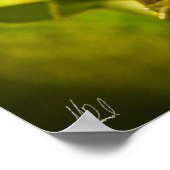 Ondertekend Groen en Golden Bell Frog Poster (Hoek)